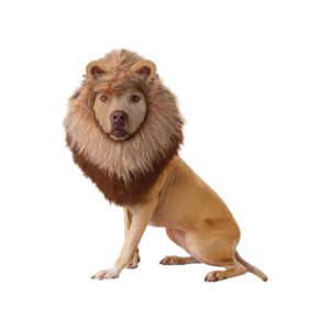 California Costumes Lion Pet Costume